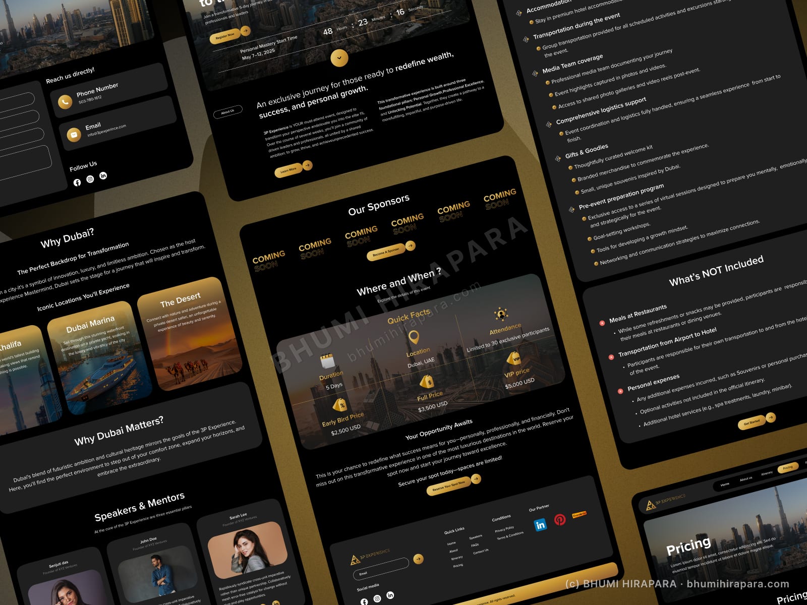 3P Experience website - introduction and overview section